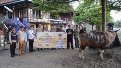 Wujud Kepedulian Jelang Iduladha, Kapolda Sumsel Salurkan Sapi Kurban untuk Warga Desa Tanjung Terang