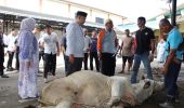 Humanis dan Peduli, Polres Muara Enim Sembelih 14 Sapi dan 12 Kambing di Hari Iduladha