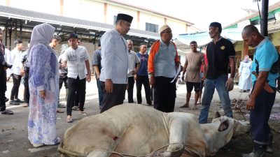 Humanis dan Peduli, Polres Muara Enim Sembelih 14 Sapi dan 12 Kambing di Hari Iduladha