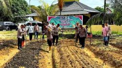 Polsek Pujud Dorong Swasembada Pangan melalui Penanaman Jagung