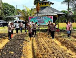 Polsek Pujud Dorong Swasembada Pangan melalui Penanaman Jagung