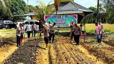 Polsek Pujud Dorong Swasembada Pangan melalui Penanaman Jagung