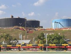 Pertamina Hulu Rokan Masih Teratas, Berikut Daftar Raja Minyak RI