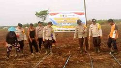Dukung Ketahanan Pangan Nasional, Kapolsek Batang Tuaka Pimpin Penanaman Jagung Bersama Kelompok Tani
