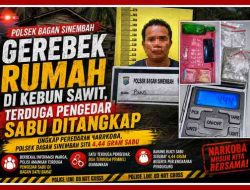 Ungkap Peredaran Narkoba, Polsek Bagan Sinembah Sita 4,44 Gram Sabu