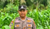 Personel Polsek TPTM Pantau Pertumbuhan Jagung Program Ketahanan Pangan