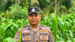 Personel Polsek TPTM Pantau Pertumbuhan Jagung Program Ketahanan Pangan