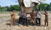 Dukung Ketahanan Pangan Nasional, Polsek Rambang Niru Bersama Pemerintah Desa Tanam Jagung di Pangkalan Babat