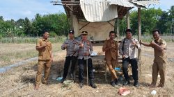 Dukung Ketahanan Pangan Nasional, Polsek Rambang Niru Bersama Pemerintah Desa Tanam Jagung di Pangkalan Babat