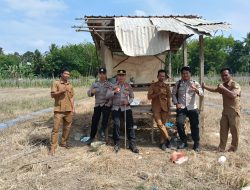 Dukung Ketahanan Pangan Nasional, Polsek Rambang Niru Bersama Pemerintah Desa Tanam Jagung di Pangkalan Babat
