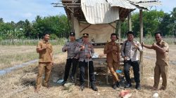 Manfaatkan Lahan Kosong, Polsek Rambang Niru Bersama Warga Tanam Jagung Dukung Ketahanan Pangan Nasional