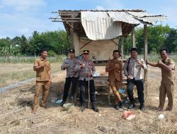 Manfaatkan Lahan Kosong, Polsek Rambang Niru Bersama Warga Tanam Jagung Dukung Ketahanan Pangan Nasional