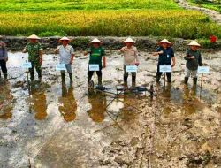 Dukung Optimalisasi Swasembada Pangan, Kapolsek Batang Tuaka Hadiri Program Percepatan Masa Tanam