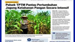 Polsek TPTM Intensif Pantau Pertumbuhan Jagung untuk Dukung Ketahanan Pangan