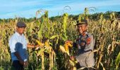 Kapolsek TPTM dan Tim Ro SDM Polda Riau Evaluasi Lahan Ketahanan Pangan Seluas 25 Hektare