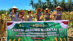 Polsek Bagan Sinembah Bersama Petani Panen 15 Ton Jagung, Dukung Swasembada Pangan