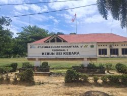 Manajemen PTPN IV Kebun Sei Kebara Klarifikasi Isu APD Berbayar: Kacamata Resep Ditanggung Perusahaan Secara Gratis