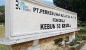 PTPN IV Regional I Kebun Sei Kebara Klarifikasi Kacamata Rp700 Ribu: Bantuan Perusahaan, Bukan Potongan Gaji