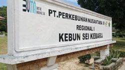 PTPN IV Regional I Kebun Sei Kebara Klarifikasi Kacamata Rp700 Ribu: Bantuan Perusahaan, Bukan Potongan Gaji