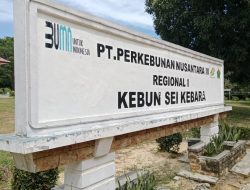 PTPN IV Regional I Kebun Sei Kebara Klarifikasi Kacamata Rp700 Ribu: Bantuan Perusahaan, Bukan Potongan Gaji