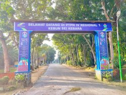 Manajemen PTPN IV Kebun Sei Kebara Luruskan Isu Kacamata: Rp700 Ribu Bantuan Perusahaan, Bukan Beban Pekerja