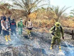 Api Padam, Patroli Karhutla di Wilayah Gambut Riau Terus Berjalan