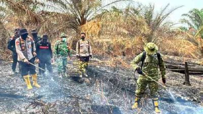 Api Padam, Patroli Karhutla di Wilayah Gambut Riau Terus Berjalan