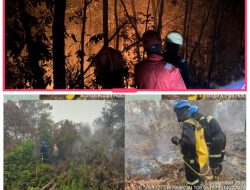 PTBA Aktif Bantu Penanganan Karhutla, Perkuat Respons Cepat dan Kolaborasi