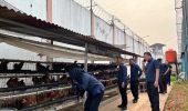 Lapas Muara Enim Gelar Tour to Branggang, Wujudkan Lingkungan Bersih dan Deteksi Dini Gangguan Kamtib
