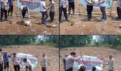 Polsek Semende Darat Laut Tanam Jagung di Lahan 12 Hektare, Dukung Program Ketahanan Pangan
